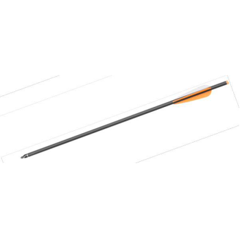 Šíp 20” CARBON FIELD POINT 100 grs., Mankung