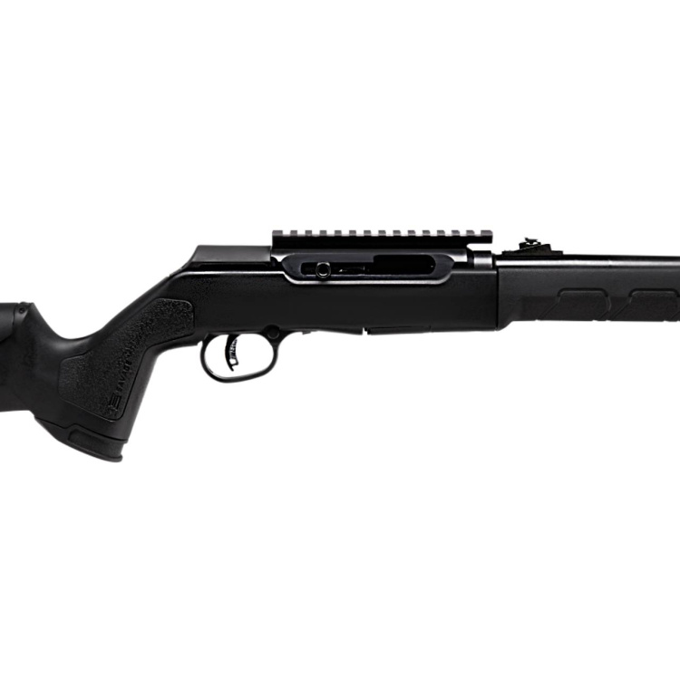 Samonabíjecí malorážka Savage Arms A22 F TakeDown, 22 LR, skládací, 16&quot;